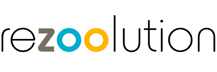 Logo rezoolution