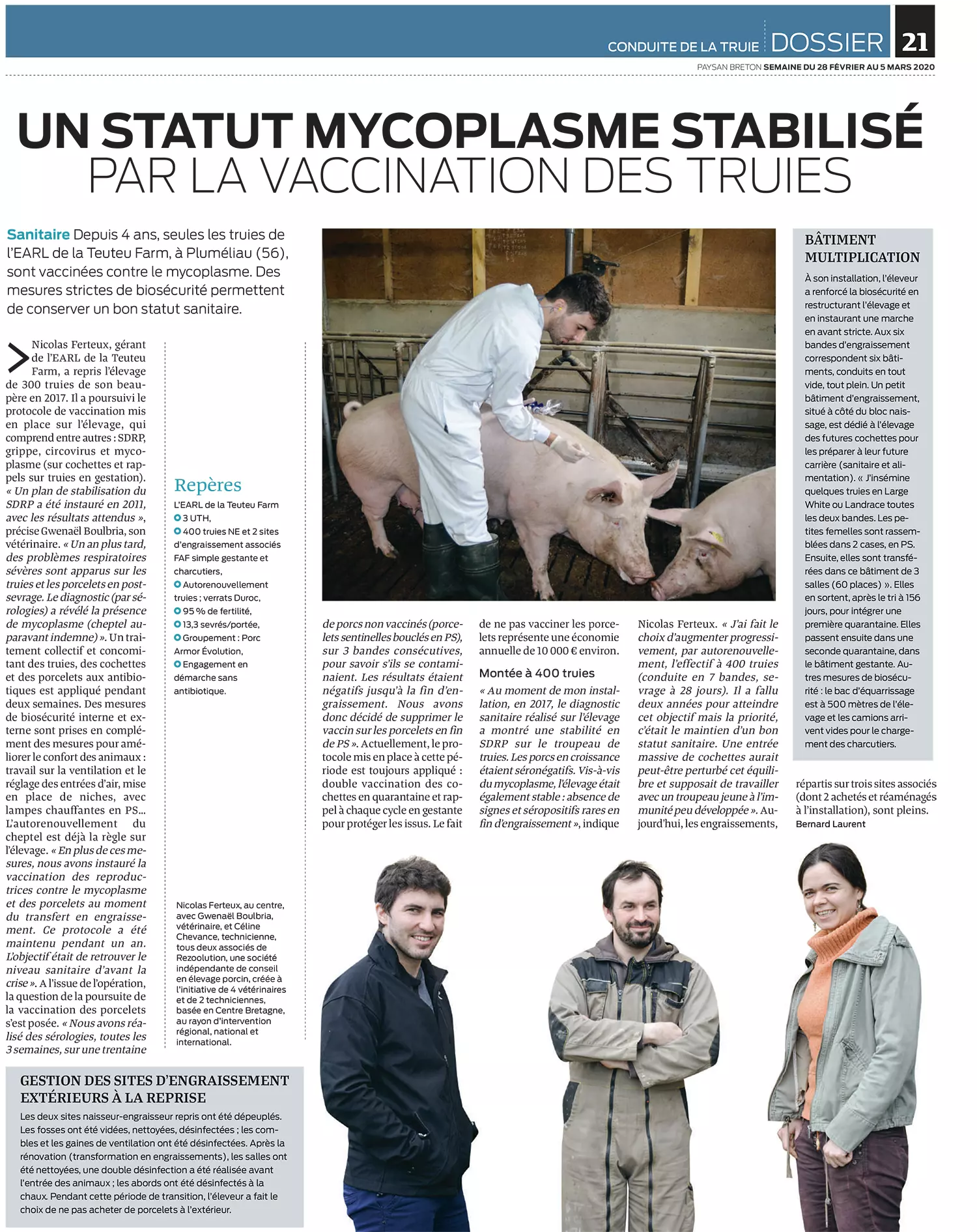 Un statut mycoplasme stabilisé par la vaccination des truies - Payson breton