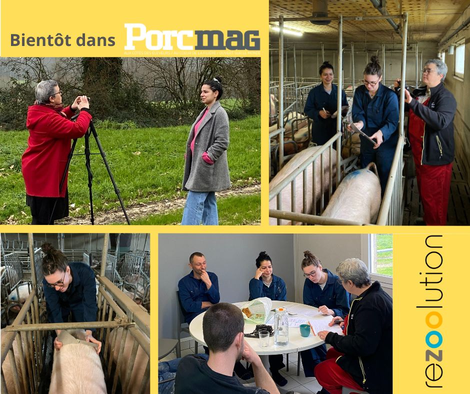 Kaisa Ryytty Sylvén, vétérinaire en Suède pour la société Gård & Djurhälsan est venue rencontrer les consultants de Rezoolution Kaisa Ryytty Sylvén, vétérinaire en Suède pour la société Gård & Djurhälsan est venue rencontrer les consultants de Rezoolution